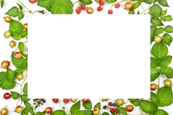 Stachelbeeren Und Himbeeren Isoliert Auf Weißem Hintergrund Schöner Rahmen Mit — Stockfoto