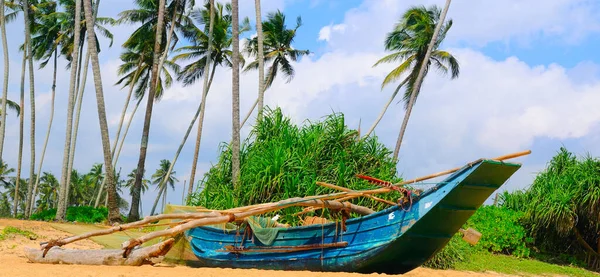 Plage Tropicale Intacte Avec Palmiers Bateaux Pêche Sri Lanka Grande — Photo
