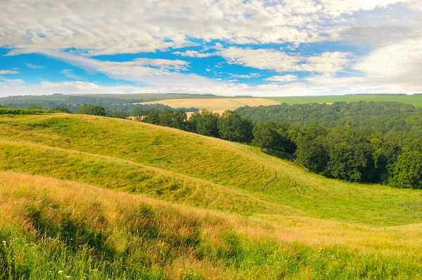 遠くの丘 木や曇りの空と広大な草の牧草地 — ストック写真