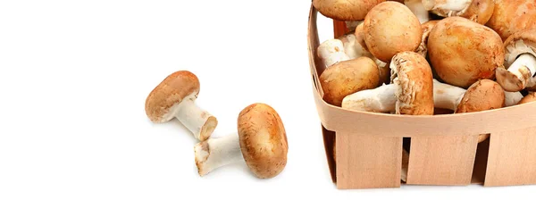 Φρέσκα Champignons Ένα Καλάθι Απομονωμένο Λευκό Φόντο Υπάρχει Ελεύθερος Χώρος — Φωτογραφία Αρχείου