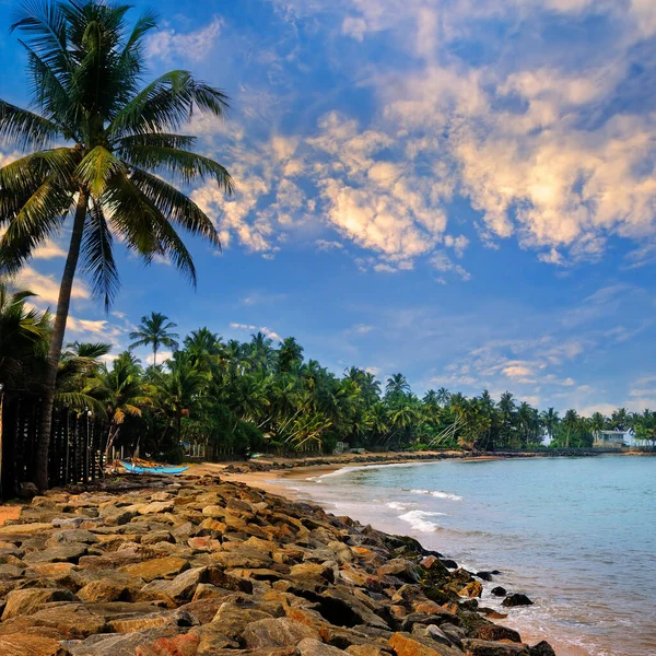 ヤシの木がある熱帯のビーチで美しい夕日 旅行と休暇のコンセプト — ストック写真