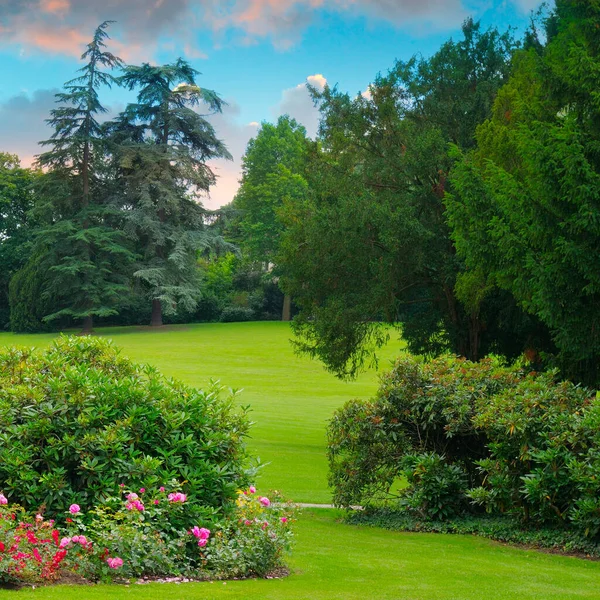 Acogedor Jardín Ciudad Con Césped Verde Muchas Flores Atardecer —  Fotos de Stock