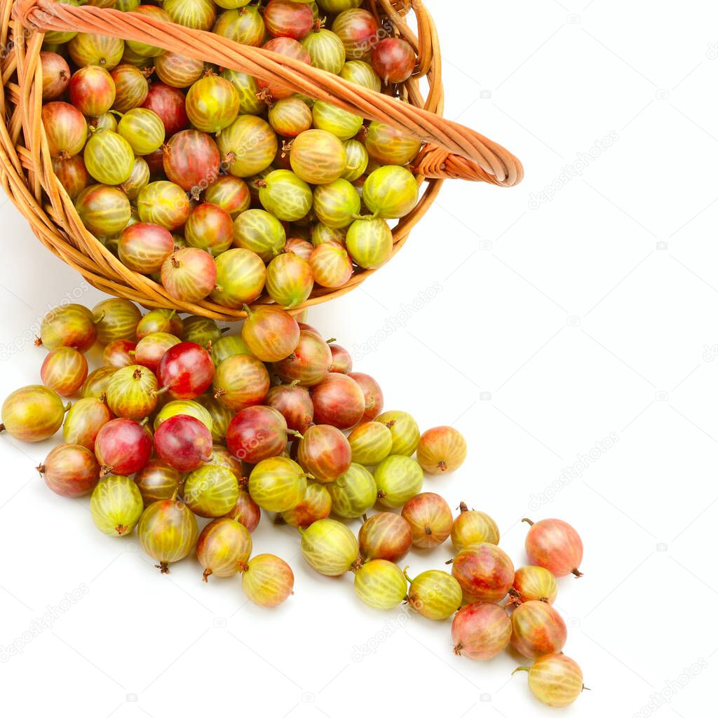 Gooseberries in wicker basket isolated on white background