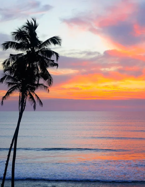 ヤシの木がある熱帯のビーチで美しい夕日 旅行と休暇のコンセプト — ストック写真