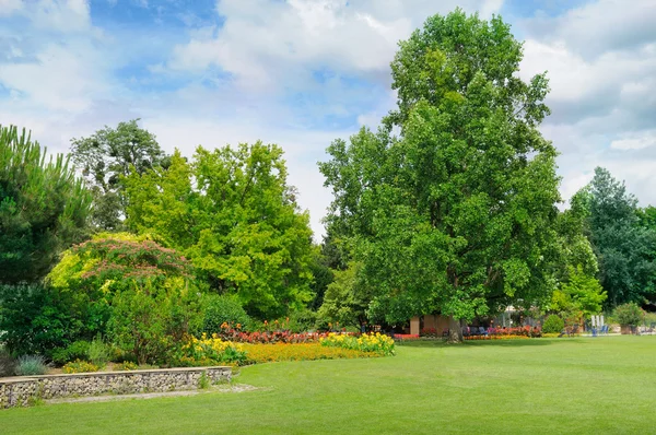 Zomer park — Stockfoto