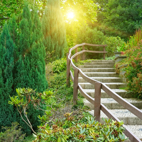 Zomer park en zonsopgang — Stockfoto