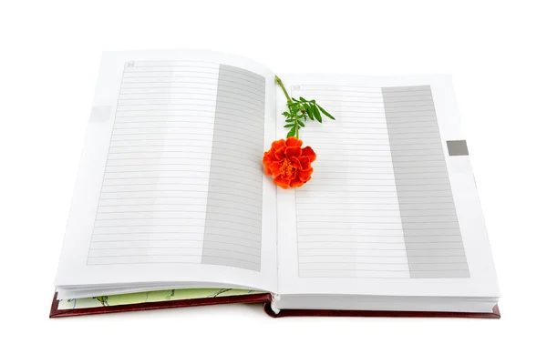 Livro e flor isolado no fundo branco — Fotografia de Stock