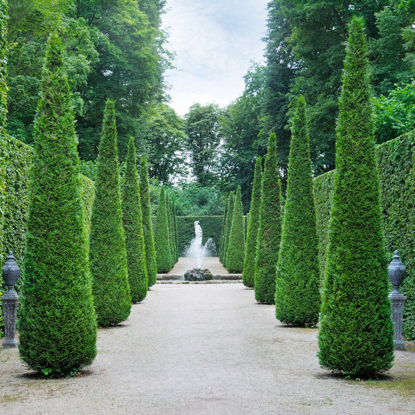 Beautiful alley in the park.