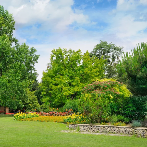 Zomer park — Stockfoto