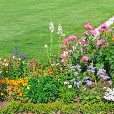 güzel çiçek yatak ve yeşil çimen