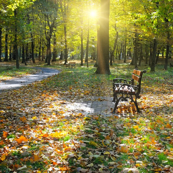 Krásný podzimní park — Stock fotografie