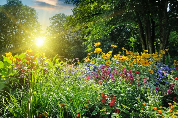 Zomer park met een mooie bloem bed — Stockfoto