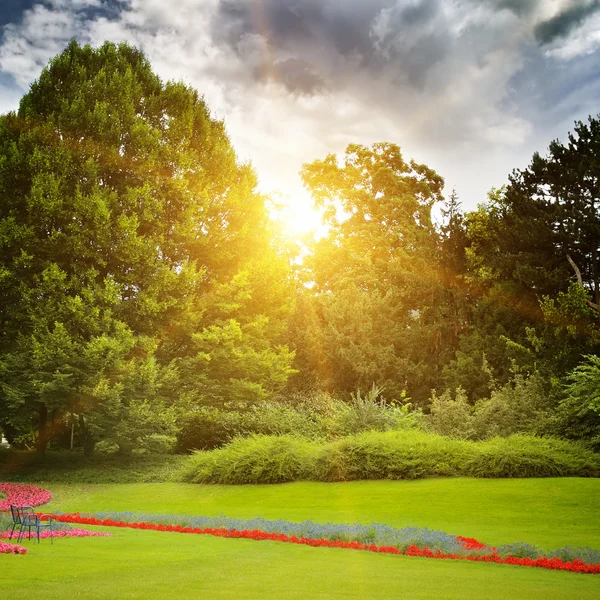Hermoso parque de verano y amanecer — Foto de Stock