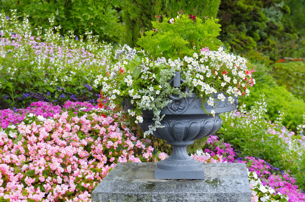 Красивая клумба