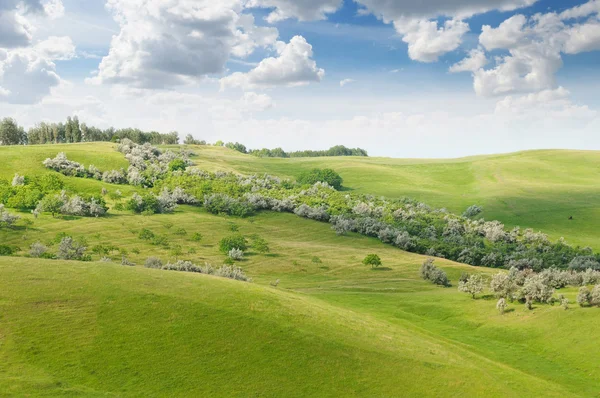 山の畑と青い空と風景します。 — ストック写真