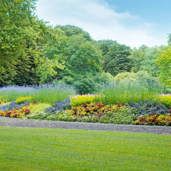 Parque de verão com canteiro de flores bonito — Fotografia de Stock