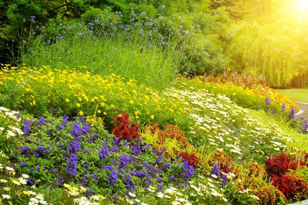 明るい花の美しい背景 ストック写真 C Alinamd