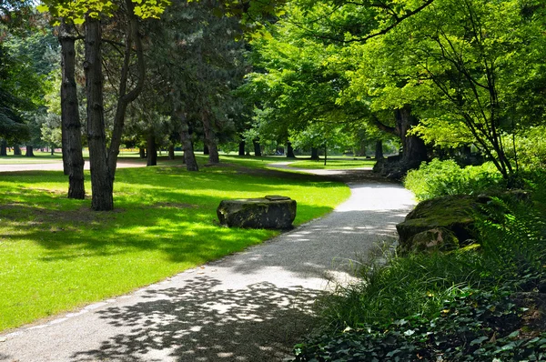 Parque de verão com belos gramados verdes — Fotografia de Stock