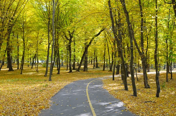 Herbstliche Landschaft — Stockfoto