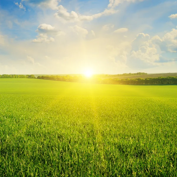 alan, gün doğumu ve mavi gökyüzü