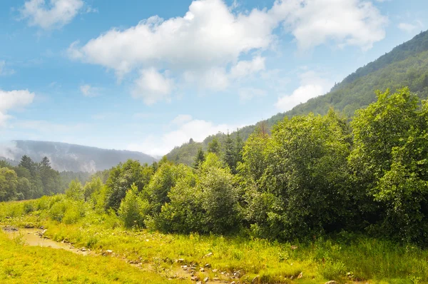 Pittoresca valle di montagna e torrente — Foto Stock