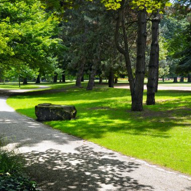güzel Yeşil çimenler ile yaz park