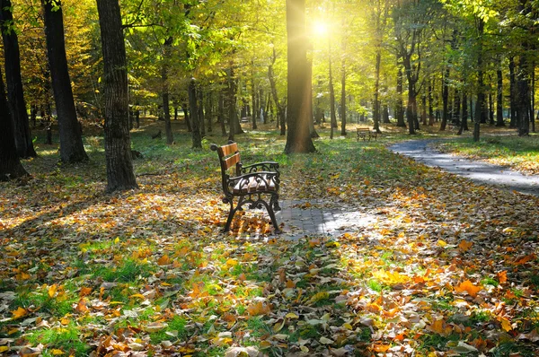 Schöner herbstlicher Park mit Wegen und Bänken — Stockfoto