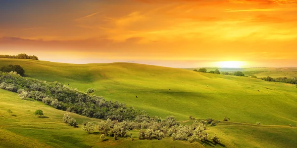 Schilderachtige velden, heuvels en zonsopgang — Stockfoto