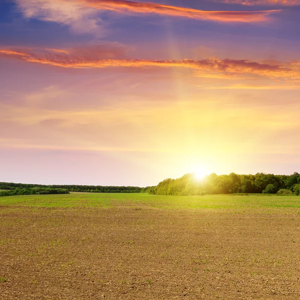 Arado campo e belo pôr do sol — Fotografia de Stock