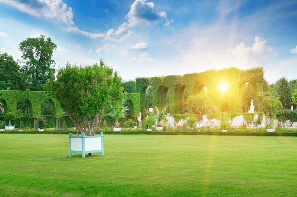 Gazon en hedge in een zomer park — Stockfoto