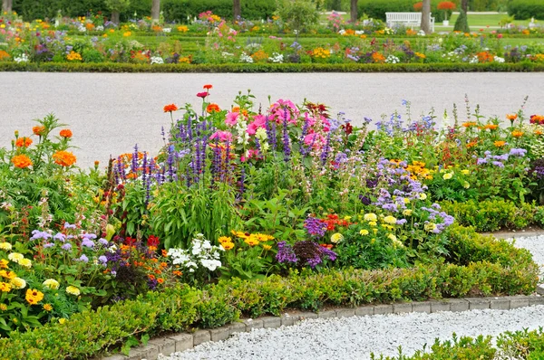 Encantador macizo de flores en el parque de verano — Foto de Stock