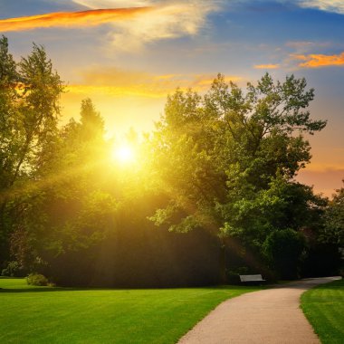 güzel yaz park ve günbatımı