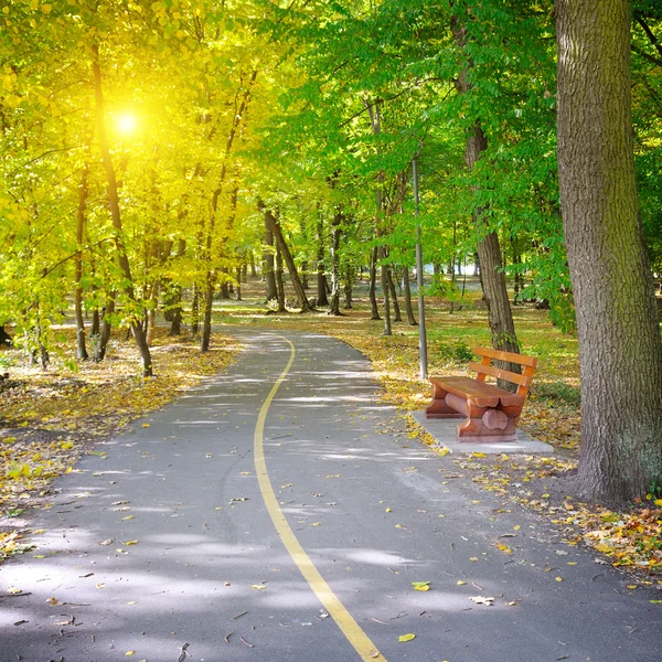 Sonbahar Park güneş ışınlarının — Stok fotoğraf