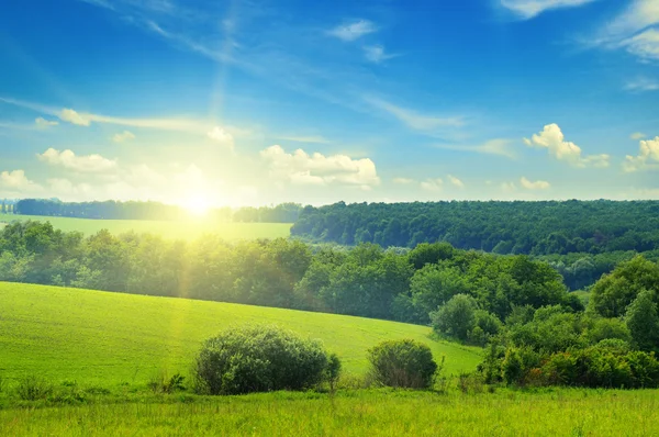 Groen veld en blauwe lucht met lichte wolken — Stockfoto