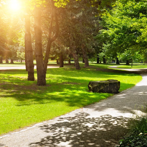 güzel Yeşil çimenler ile yaz park
