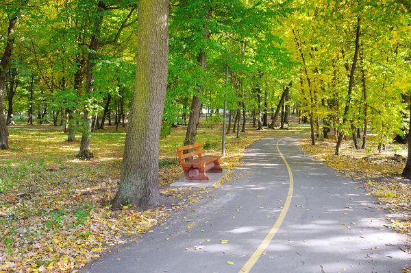 Paesaggio autunnale in un bellissimo parco — Foto Stock