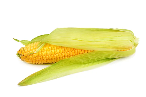 Corn cob isolated on white background — Stock Photo, Image