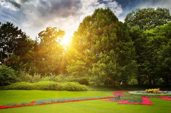 Mooie zomerse park en zonsondergang — Stockfoto