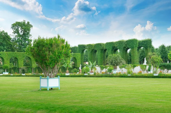 Gazon en hedge in een zomer park — Stockfoto