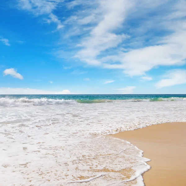 Okyanus, kumlu plajı ve mavi gökyüzü — Stok fotoğraf