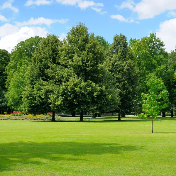 Park, grüne Wiese und blauer Himmel — Stockfoto