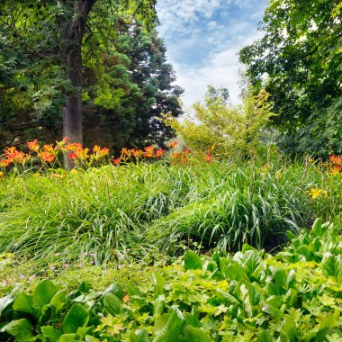 güzel çiçek yatak yaz park