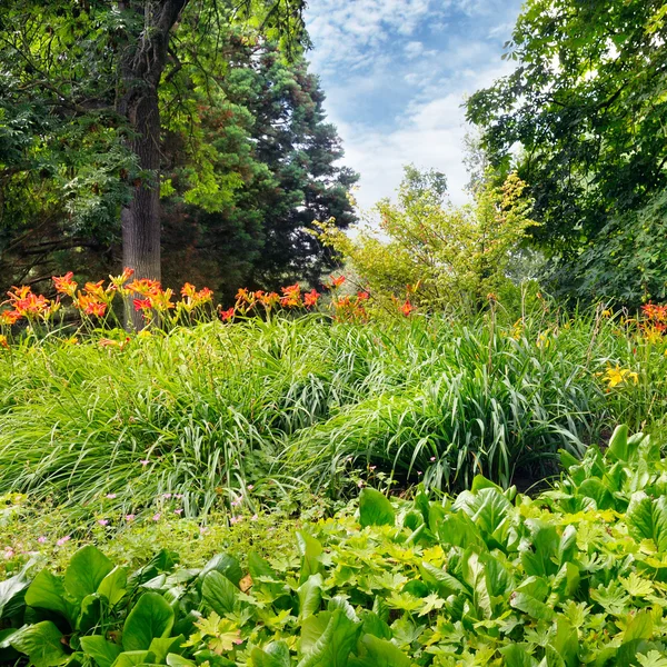 Summer park with a beautiful flower bed — Stock Photo, Image