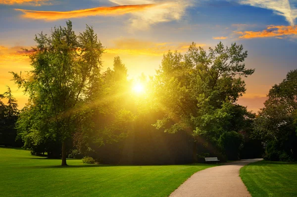 Magnifique parc d'été et coucher de soleil — Photo