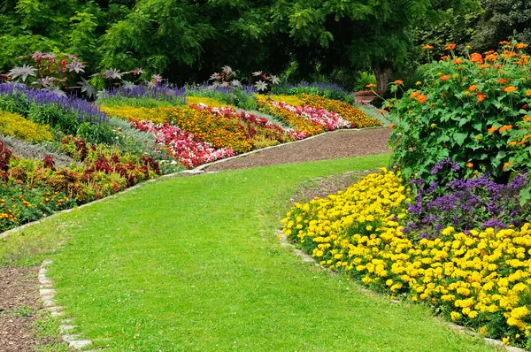 Blossoming flowerbeds in the park — Stock Photo, Image