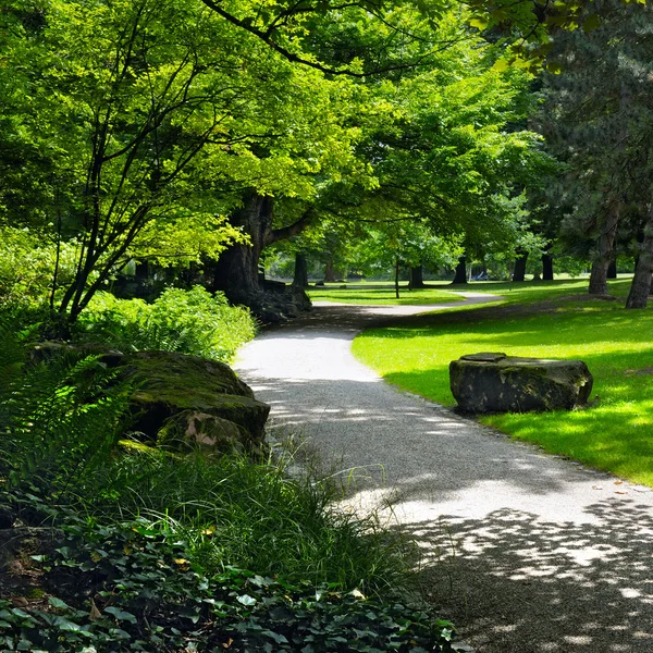 Parc d'été avec de belles pelouses vertes — Photo