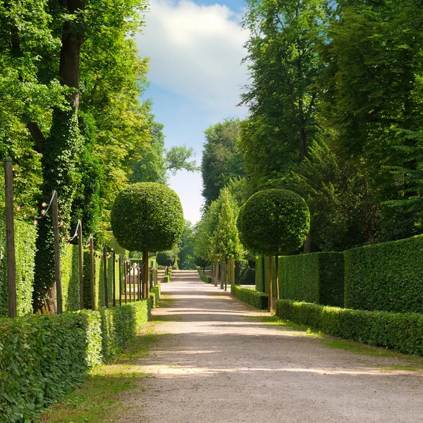 Parco estivo con un bel viale — Foto Stock