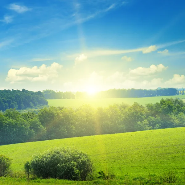 Campo, salida del sol y cielo azul — Foto de Stock