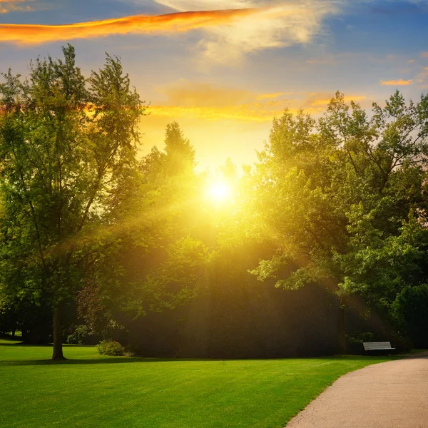 Magnifique parc d'été et coucher de soleil — Photo