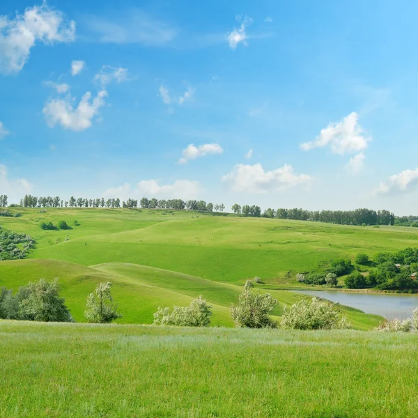 Pittoresco campo verde e cielo blu — Foto Stock